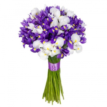 Букет из ирисов "Ириска"